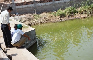 Đẩy nhanh tiến độ công trình, dự án ứng phó hạn mặn