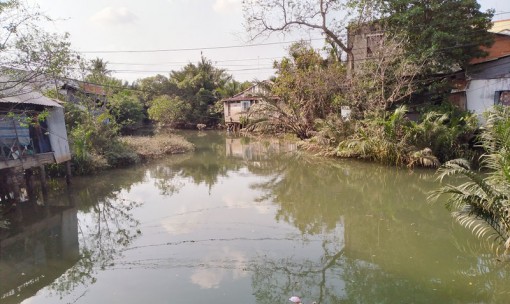 Ô nhiễm môi trường trên rạch Cái Cá