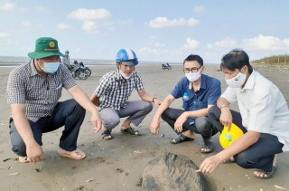 Chất thải lỏng lại dạt vào bờ biển huyện Bình Đại