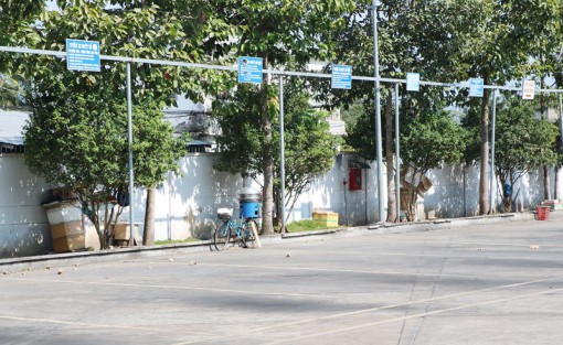 Xe buýt hoạt động trở lại