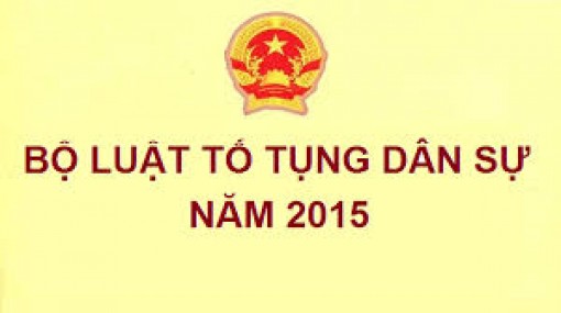Quyền và nghĩa vụ của người làm chứng