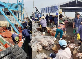 Bình Thắng đẩy mạnh phát triển kinh tế biển