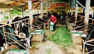 Mỹ Thạnh đoàn kết hoàn thành Nghị quyết đại hội