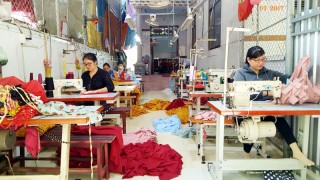 Cẩm Sơn hướng tới nền nông nghiệp hữu cơ Cẩm Sơn hướng tới nền nông nghiệp hữu cơ