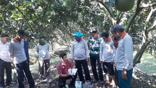 An Phước phát triển nông nghiệp hướng công nghệ cao An Phước phát triển nông nghiệp hướng công nghệ cao