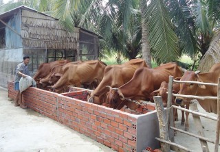 Quới Điền xây dựng chuỗi giá trị nông sản chủ lực Quới Điền xây dựng chuỗi giá trị nông sản chủ lực