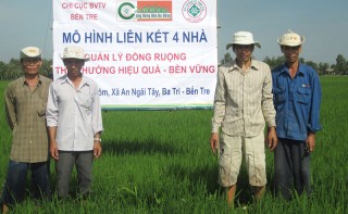 An Ngãi Tây tập trung phát triển kinh tế, giảm nghèo An Ngãi Tây tập trung phát triển kinh tế, giảm nghèo