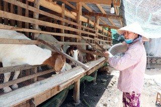 Bình Khánh nỗ lực phát triển sau sáp nhập Bình Khánh nỗ lực phát triển sau sáp nhập