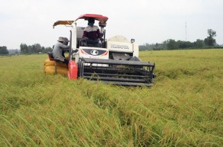 An Bình Tây: Quyết tâm thực hiện thắng lợi Nghị quyết nhiệm kỳ mới An Bình Tây: Quyết tâm thực hiện thắng lợi Nghị quyết nhiệm kỳ mới