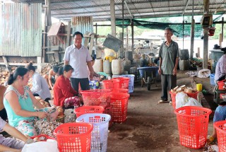 Phát huy vai trò người đứng đầu Phát huy vai trò người đứng đầu