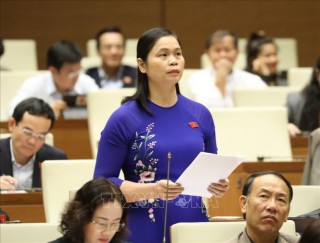 Đại biểu Quốc hội băn khoăn về chỉ tiêu phát triển kinh tế - xã hội năm 2021