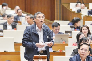 Đại biểu Quốc hội đơn vị tỉnh Bến Tre thảo luận dự án Luật Giao thông đường bộ (sửa đổi)