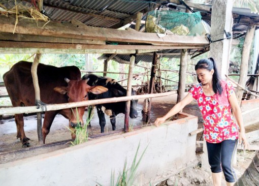 Châu Thành thực hiện tốt đề án phát triển đa dạng sinh kế, thoát nghèo bền vững