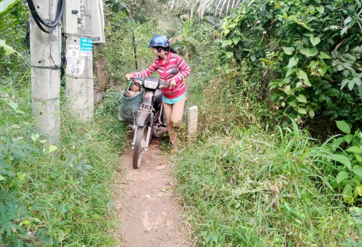 Về lối đi chung ở Tổ 7A, Ấp 5, xã Lương Hòa