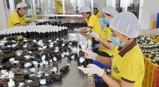 Doanh nghiệp mạnh dạn chuyển đổi số và phát triển Doanh nghiệp mạnh dạn chuyển đổi số và phát triển