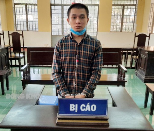 Đi làm thuê trộm xe của chủ, bị tòa phạt 2 năm 6 tháng tù