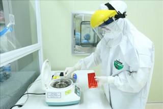 Ngày 30-7-2021, có 3.704 bệnh nhân COVID-19 khỏi bệnh; công bố 139 ca tử vong từ ngày 16 – 30-7-2021