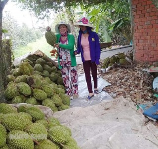 Nỗ lực chung tay tiêu thụ nông sản cho người dân
