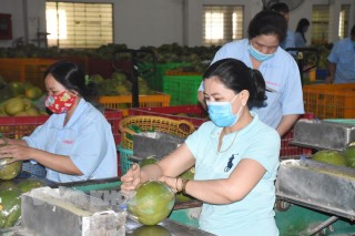 Hỗ trợ người lao động không có hợp đồng lao động gặp khó khăn do Covid-19