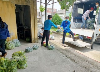 Châu Bình với nhiều cách làm hay để bảo vệ “vùng xanh”