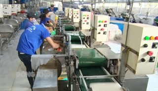 TP. Bến Tre triển khai các giải pháp phục hồi kinh tế sau dịch Covid-19