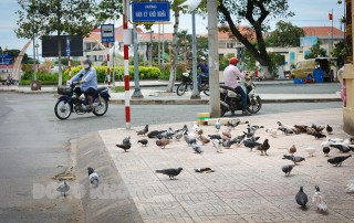 Đến 6 giờ 21-9-2021, tỉnh không có thêm ca mắc Covid-19