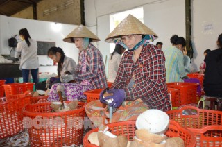 Tiến độ phát triển hợp tác xã chậm do ảnh hưởng dịch Covid-19