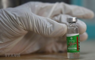 Các nước châu Á-TBD nhận vaccine COVID-19 của Ấn Độ trong tháng 10