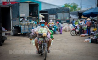 Đảm bảo tuân thủ các quy định phòng chống dịch Covid-19 theo Chỉ thị số 19/CT-TTg