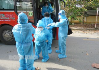 Mỏ Cày Bắc đón người dân về quê