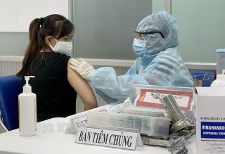 Hiệu quả bảo vệ của vắc-xin Vero Cell