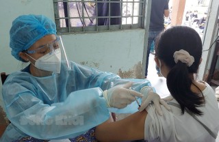 Sáng ngày 29-11-2021, tỉnh có 229 ca mắc Covid-19