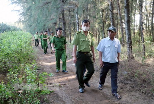 Phát triển và khai thác hiệu quả diện tích rừng