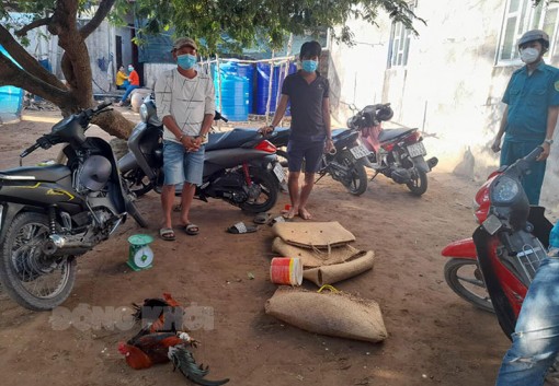 Tin an ninh trật tự ngày 14-1-2022