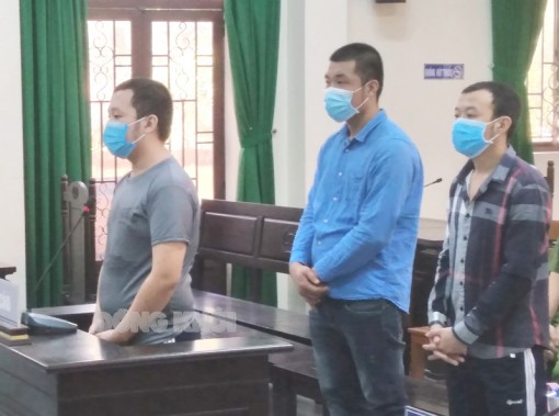 Lừa đảo chiếm đoạt tài sản, 3 bị cáo lãnh án tù