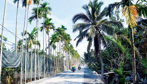 Đảm bảo an toàn giao thông trong những ngày Tết Đảm bảo an toàn giao thông trong những ngày Tết