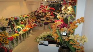 Top 7 địa chỉ shop hoa lụa uy tín, giá rẻ tại TP. Hồ Chí Minh