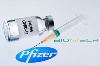 Các hãng Pfizer và BioNTech thử nghiệm lâm sàng vaccine đặc hiệu chống biến thể Omicron