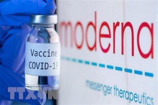 Nam Phi sản xuất vaccine COVID-19 sử dụng các thông số của Moderna