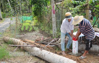 Người dân đồng thuận cao trong giải phóng mặt bằng