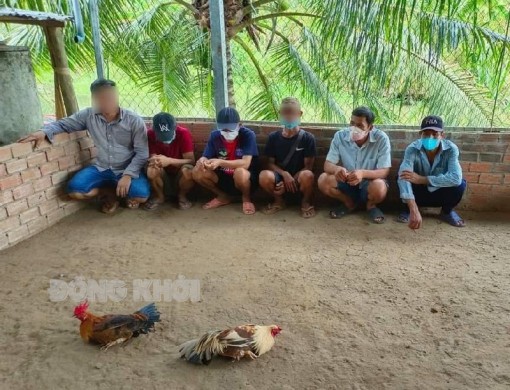 Tin an ninh trật tự, an toàn giao thông ngày 20-2-2022