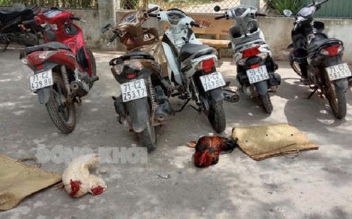 Tin an ninh trật tự, an toàn giao thông ngày 2-3-2022