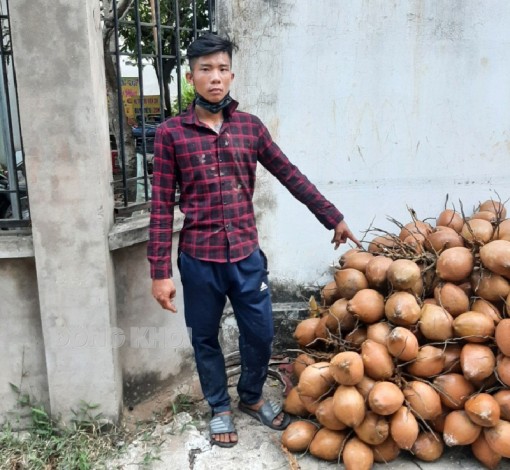 Tin an ninh trật tự ngày 24-3-2022