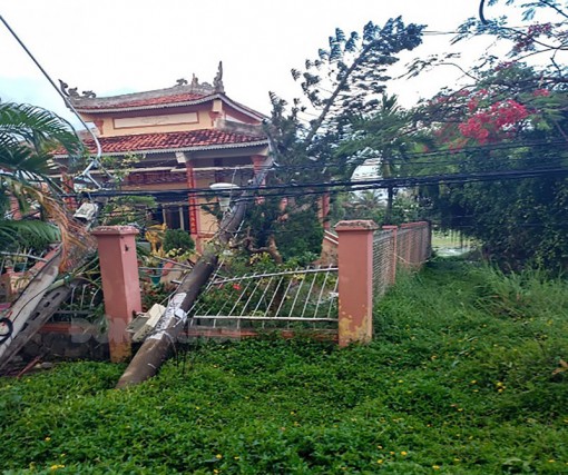 Điện lực Bến Tre ứng phó thiên tai, lốc xoáy tại huyện Ba Tri