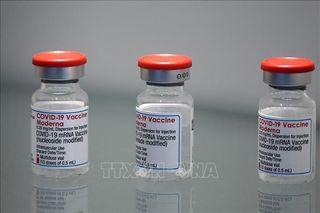 Hãng Moderna lùi thời điểm bàn giao vaccine ngừa COVID-19 cho EU