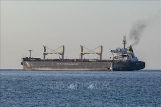 Thêm 2 tàu chở ngũ cốc rời Ukraine