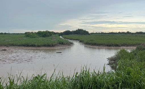 Thạnh Phú tập trung quản lý, khai thác tiềm năng đất đai