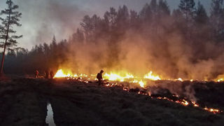 Ban bố tình trạng khẩn cấp do cháy rừng ở phía Đông Nam thủ đô Moskva