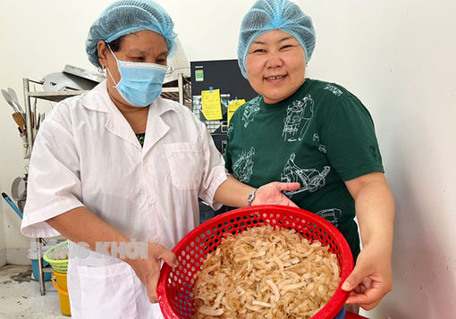 Người phụ nữ Nhật Bản nặng tình với nông dân xứ Dừa