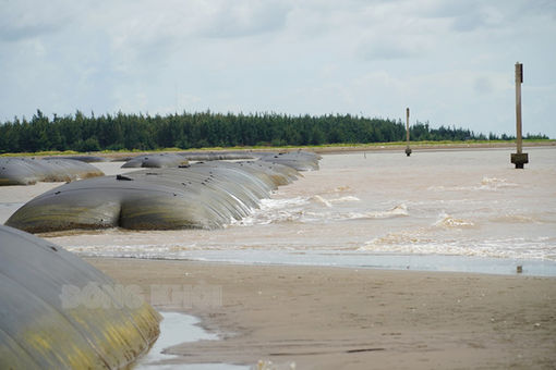 Đánh giá hiệu quả kinh tế của kè mềm sử dụng túi Geotube